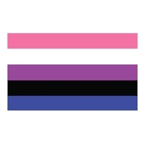 Genderfluid Flagge  90 x 150 cm
