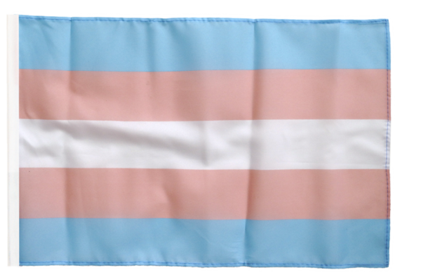 S Fahne Wetterfeste Transgender 60x90 cm