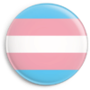 Kleiner Transgender Button