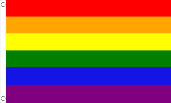 Regenbogen LGBT Flagge 150 x 250 cm