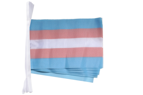Transgender Flaggenkette 3 m