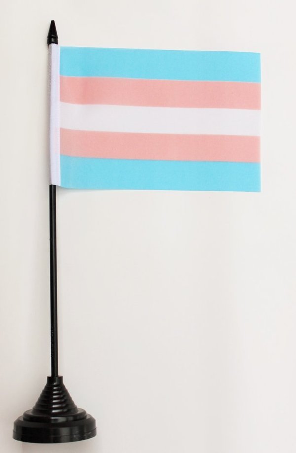 Transgender Stabfahne mit Fuss 10 x 15 cm