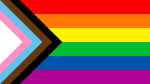Regenbogen - Fahne Progress Pride M 60 x 90 cm