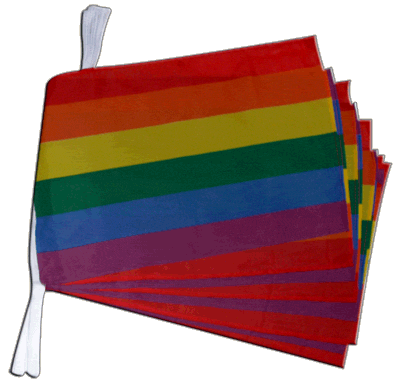 Regenbogen Flaggenkette 3 m