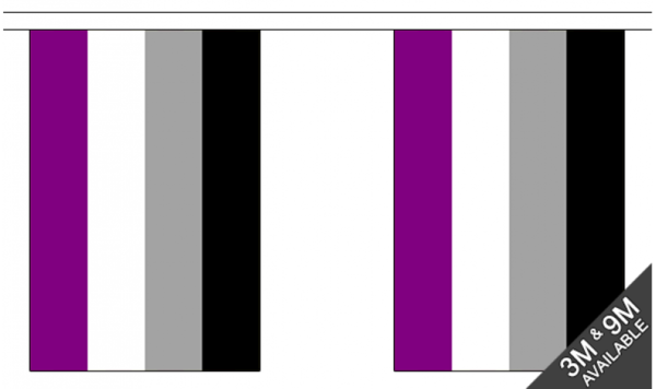 Asexual Flaggenkette 3 m