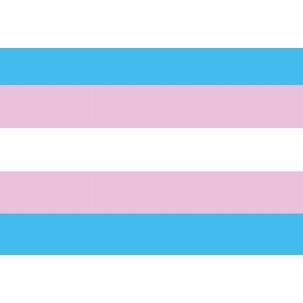 Jumbo-Magnet PRIDE Transgender-Flagge